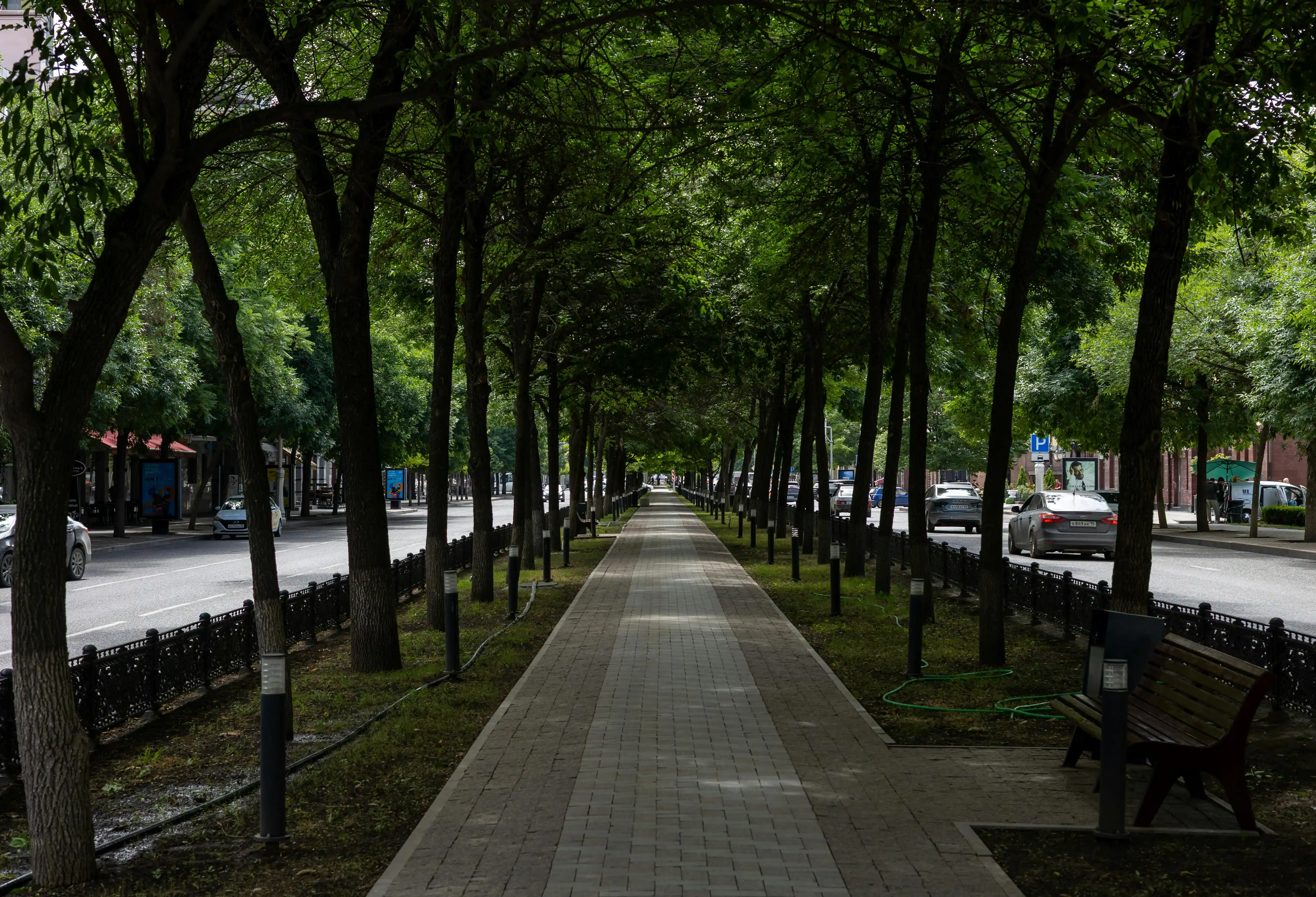 Peaceful neighborhood street with mature trees and comfortable walking paths